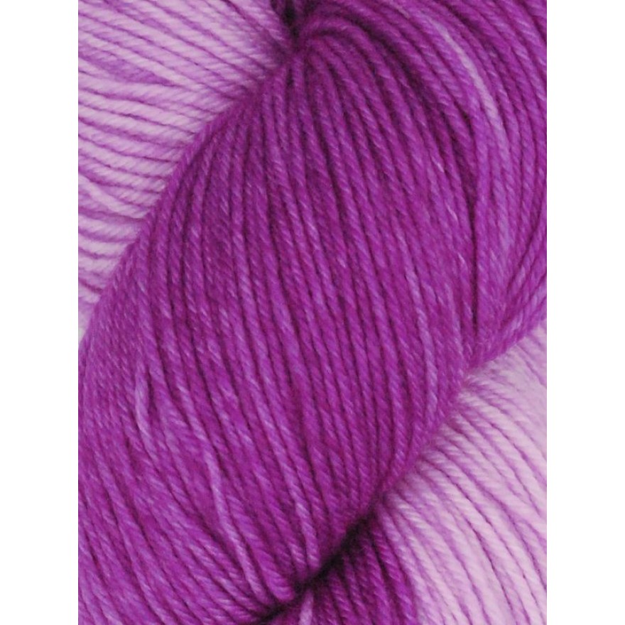 Huasco Sock Kettle Dyes von Araucania Yarns 1021 - Jam